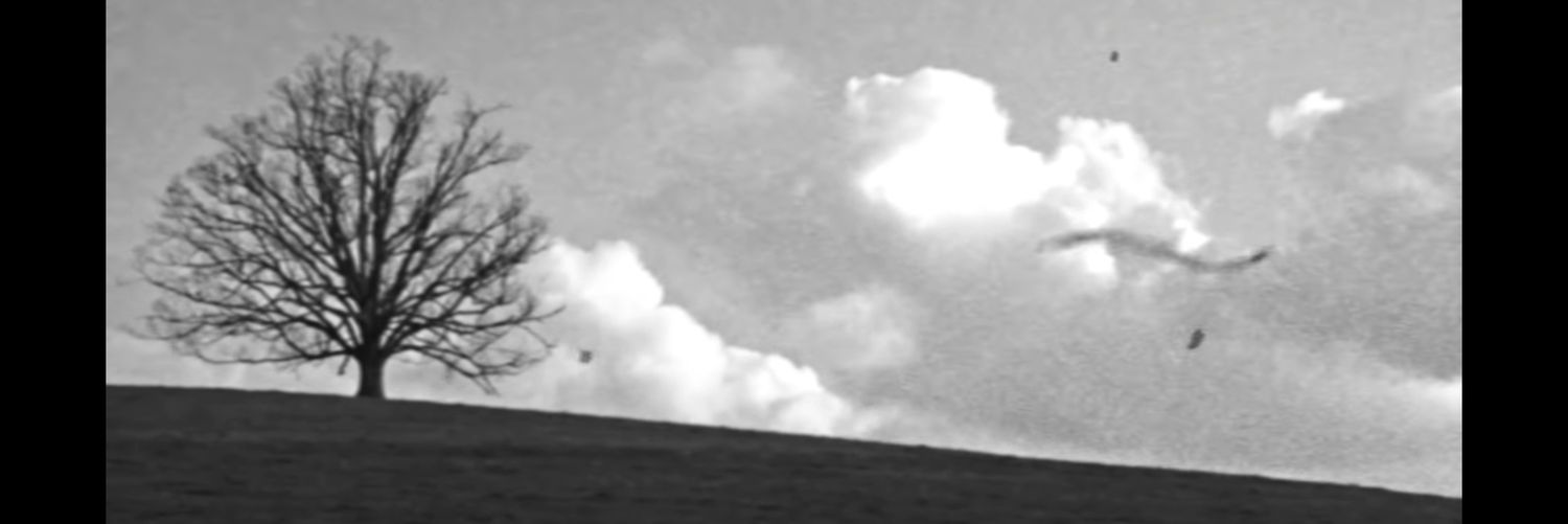 quietcreature_'s profile banner image