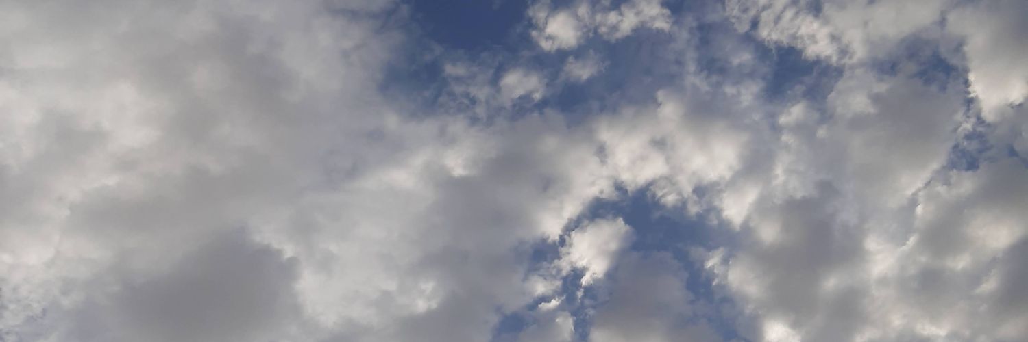 MZagail's profile banner image