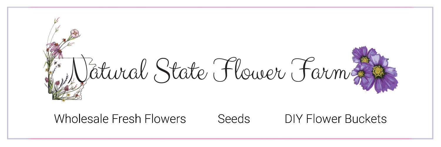 blembry's profile banner image