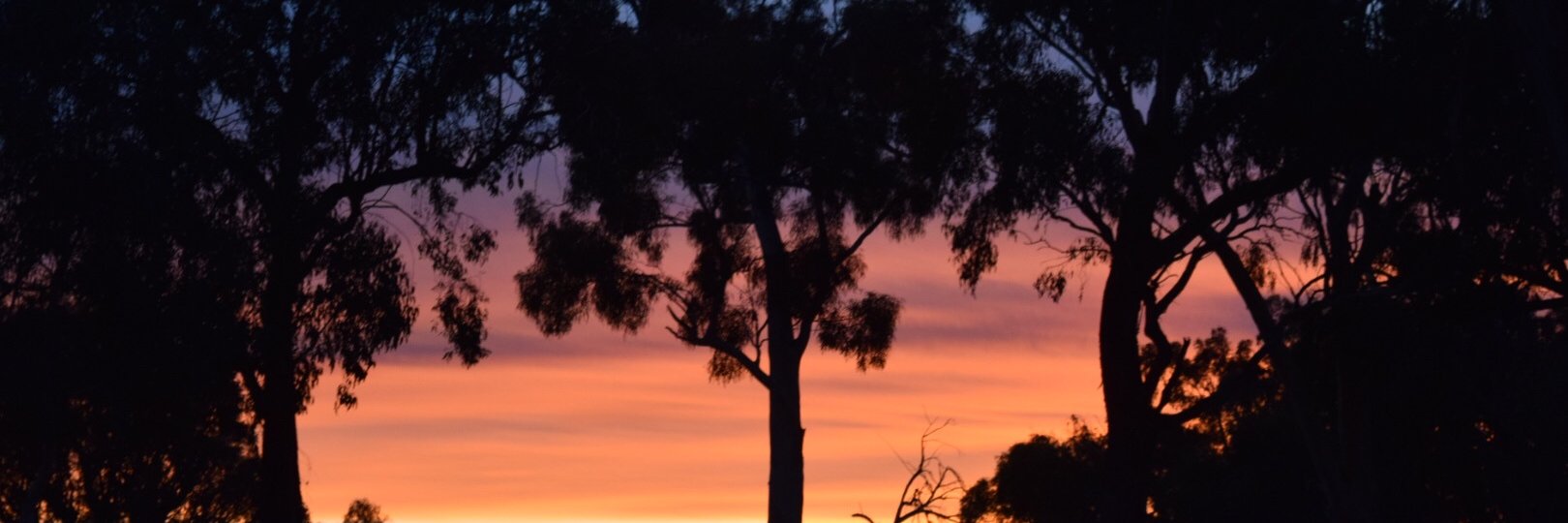 spanuska's profile banner image