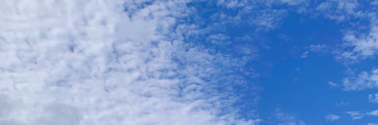 ぴ子 banner