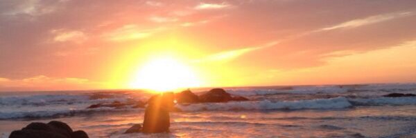 mtrivelli Profile Banner