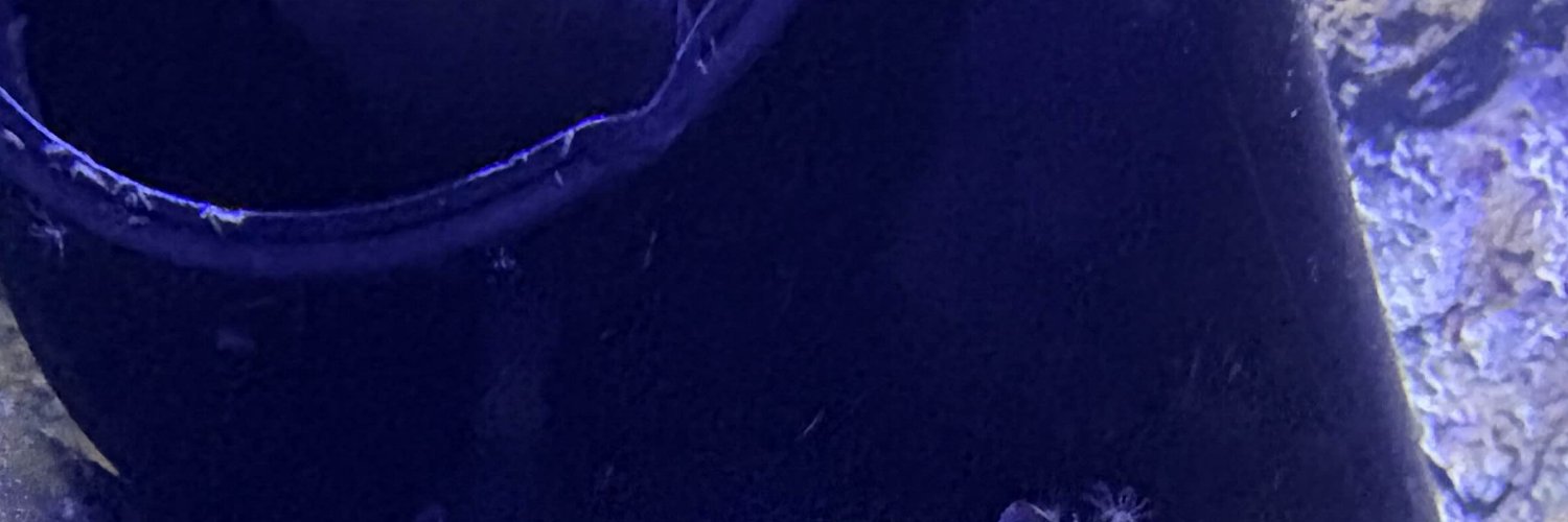 ブラスト banner