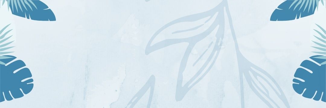 Francisco Casseano 15k banner