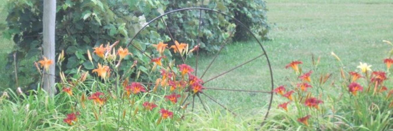 brines's profile banner image