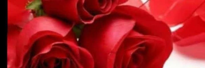 محمد عمر فاروق banner