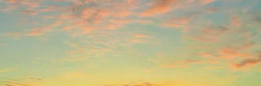 Daina0130's profile banner image