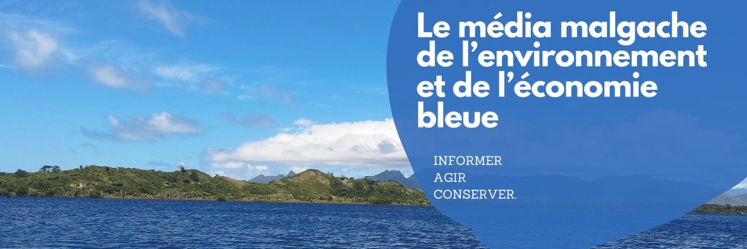 Bleen banner
