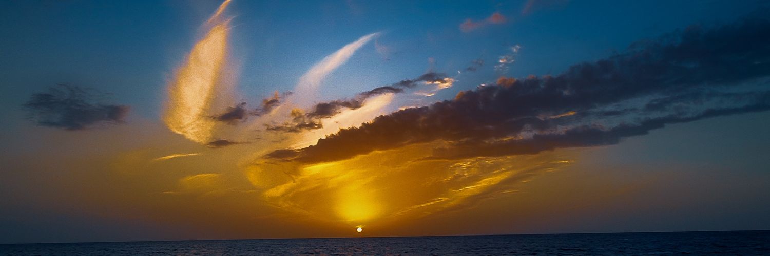 Ammar_t77's profile banner image
