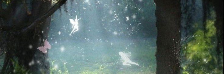 xnyhst's profile banner image