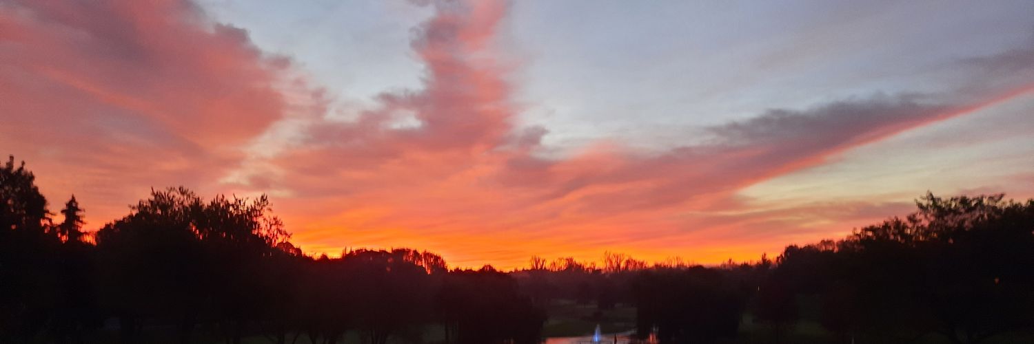 Dave 'The Wave' Morton banner