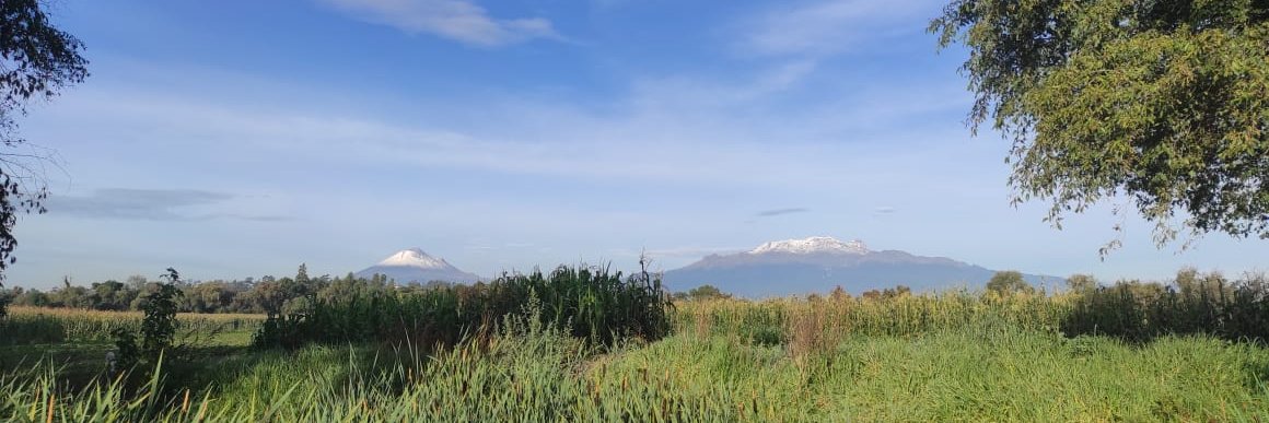 Erika I. Pérez A. banner