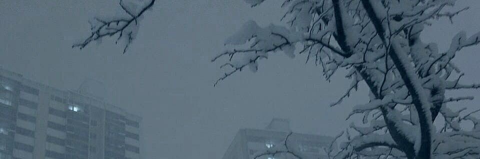 しおりー banner