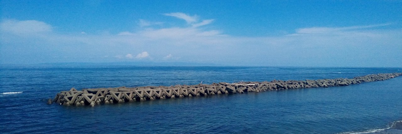 IKETANI Hiroyuki banner