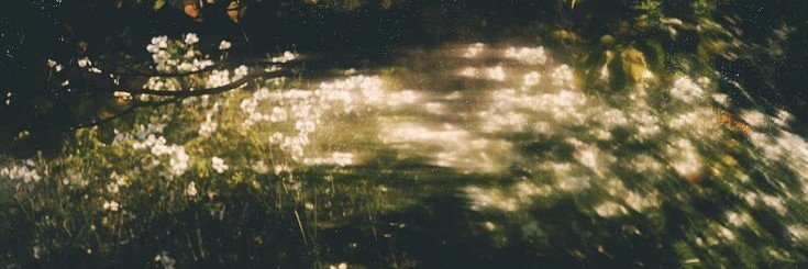 miristyca's profile banner image