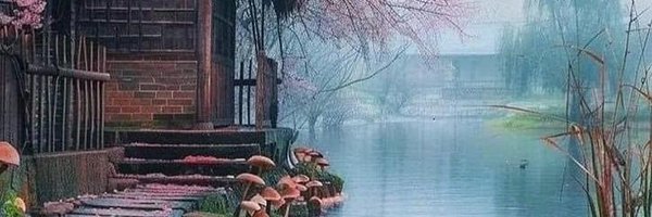 Rizvi01100 Profile Banner