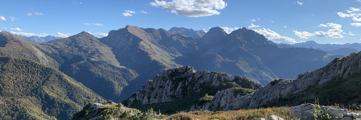 Bertrand David banner