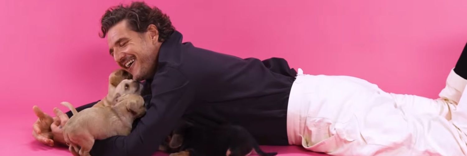 Deia 💜Pedro Pascal version 💛💟 banner