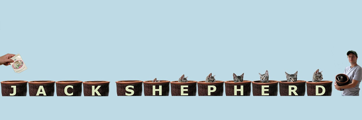 Jack Shepherd 🦑 banner