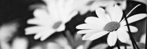helloobeybii's profile banner image