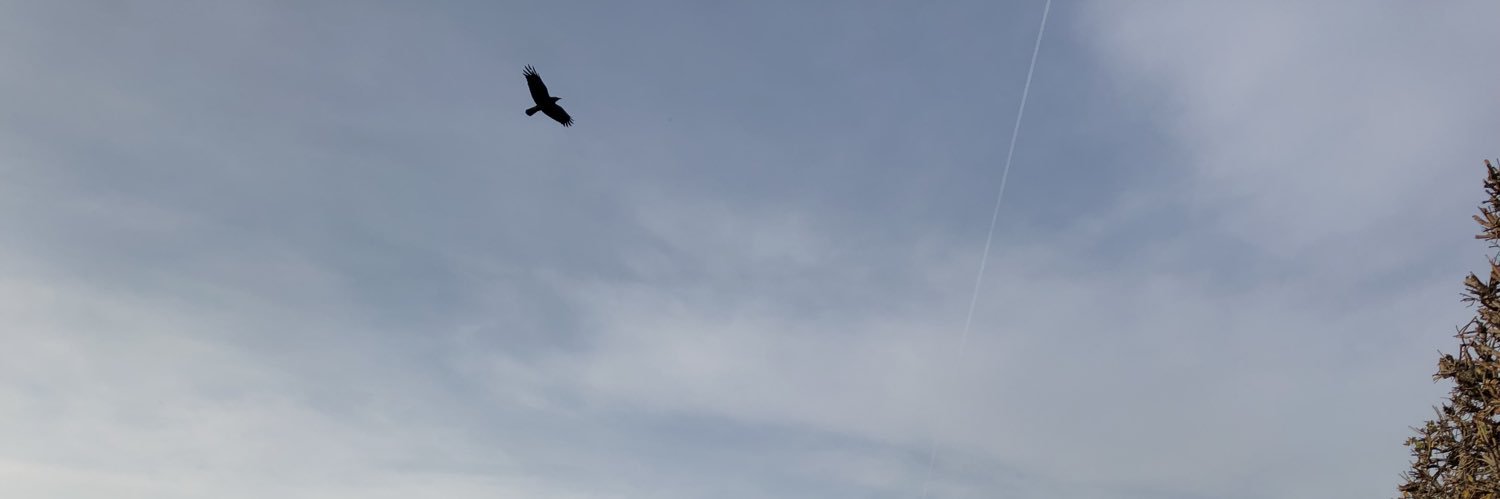 etryn's profile banner image