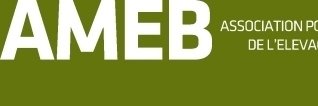 AMEB banner