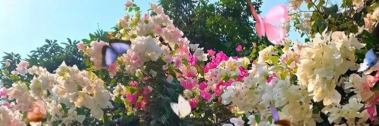 chandrakant7781's profile banner image