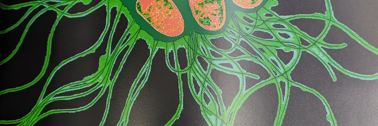 sickinternet's profile banner image