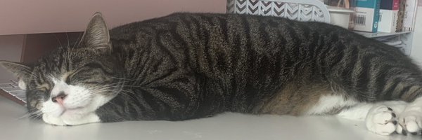 Ishmishx Profile Banner