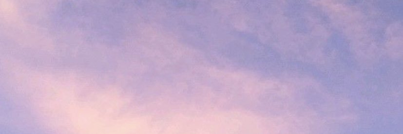 mericarolf's profile banner image
