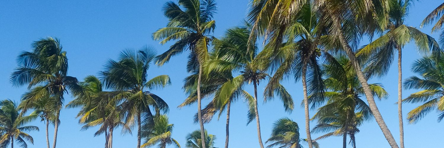 ValeritaR's profile banner image