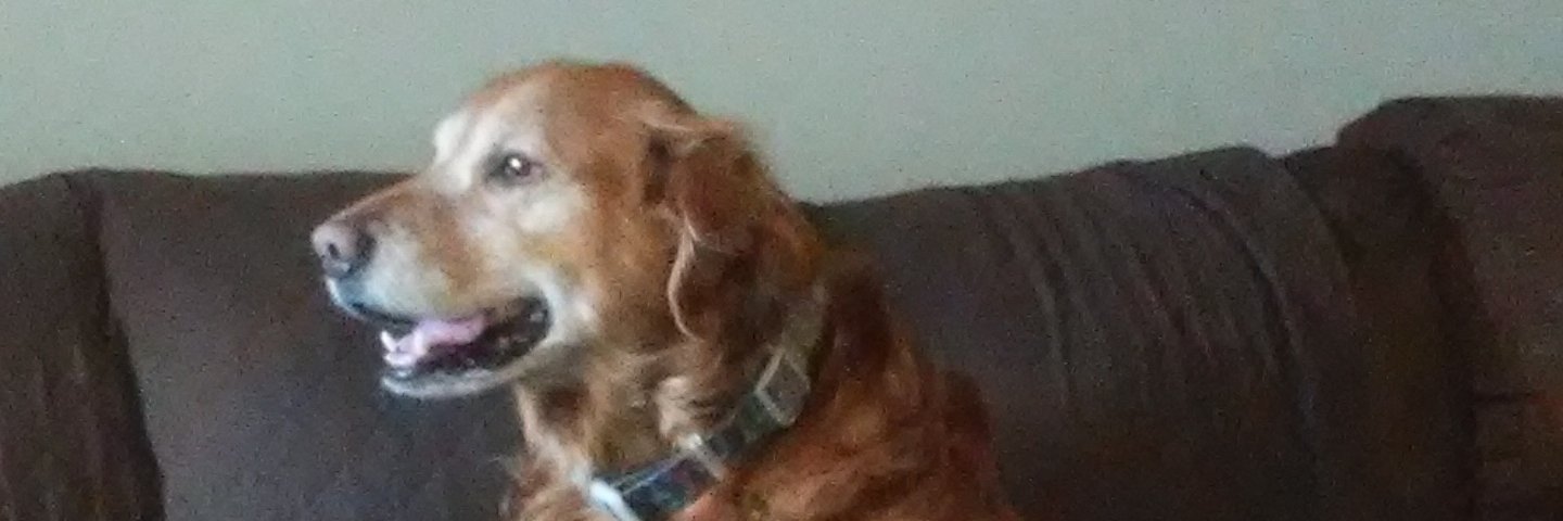 brandonbman28's profile banner image