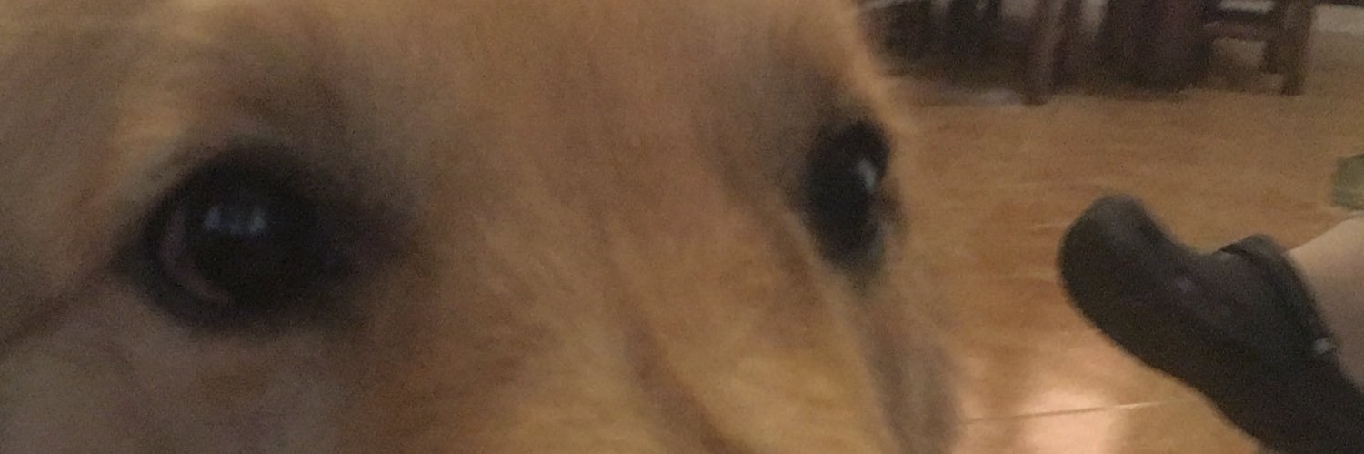 Pavelcorp's profile banner image