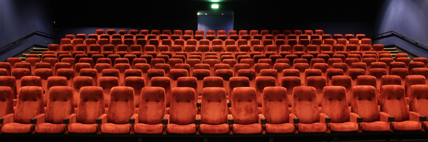 Amy Erin Borovoy banner