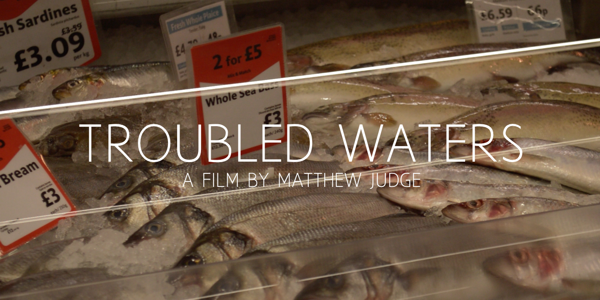TroubledWFilm's profile banner image
