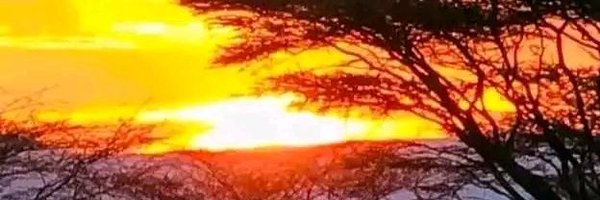 dalisay0 Profile Banner