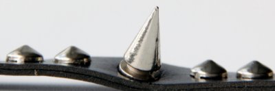 SpikySense 🚢 banner