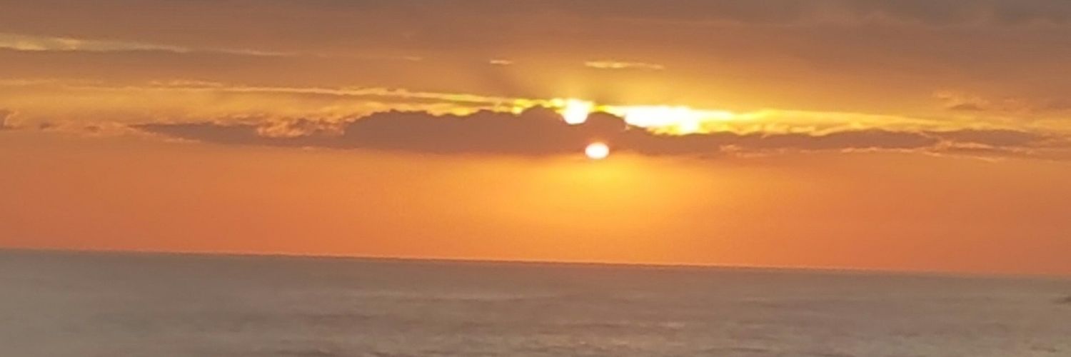 MeiLQ's profile banner image