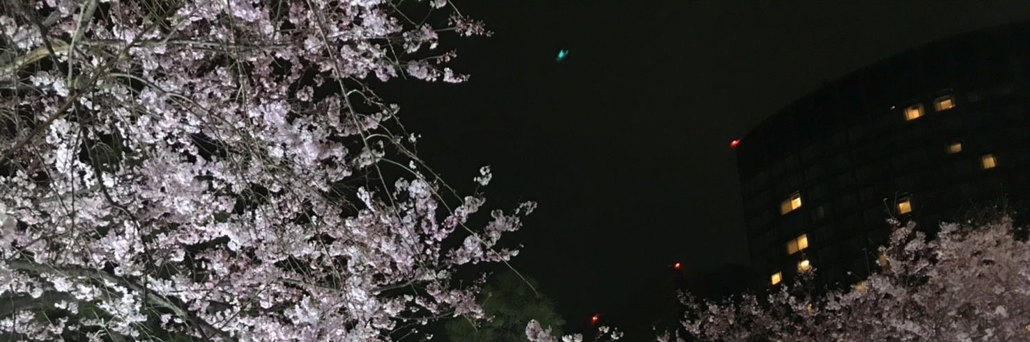 lainaHalfmoon's profile banner image