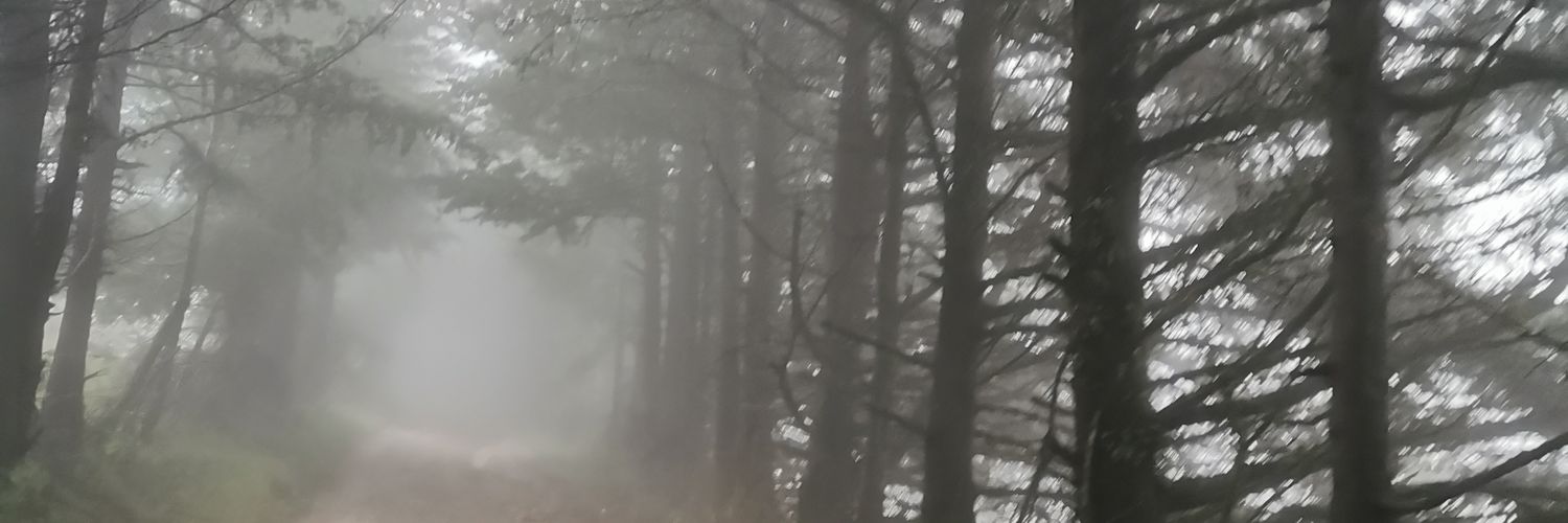 olitc's profile banner image