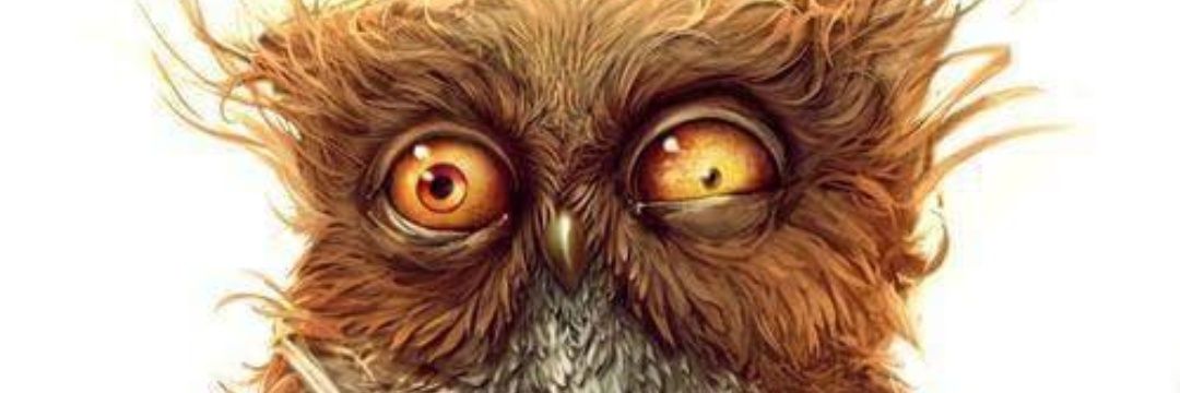 Optikinsan's profile banner image