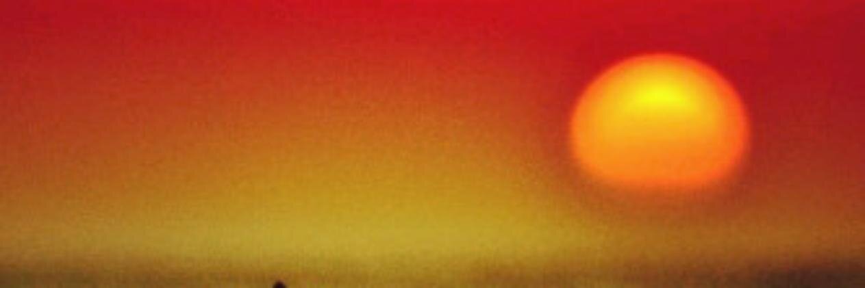 DignidadAdentro banner