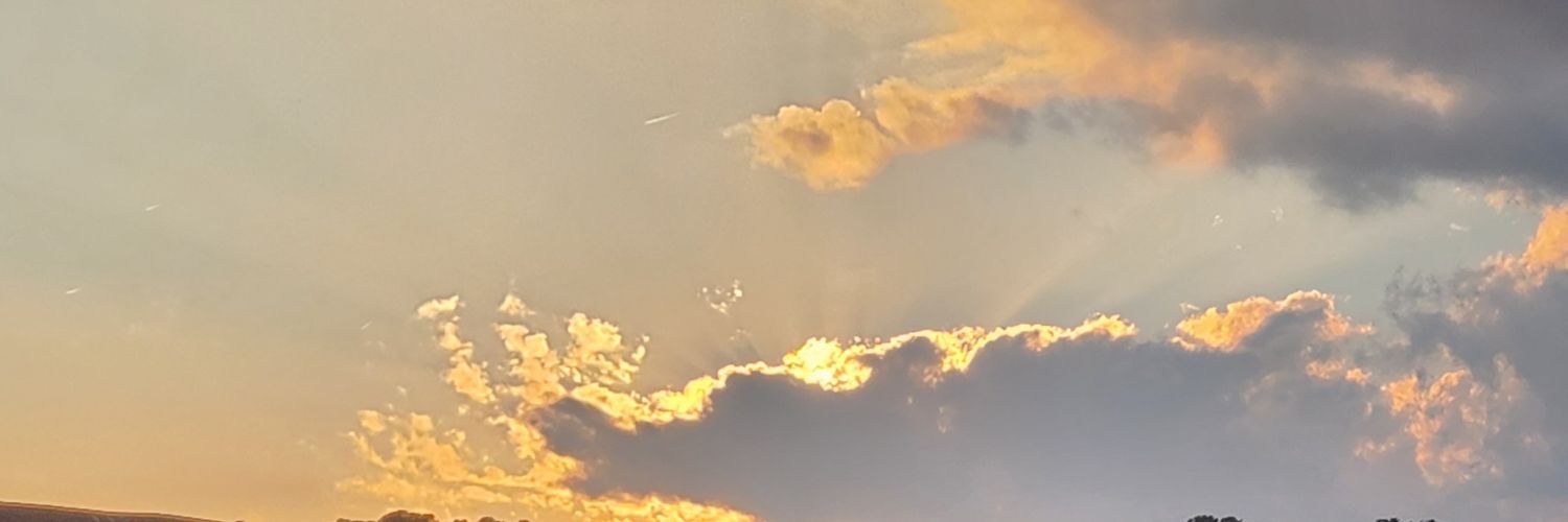 DA4Pups's profile banner image