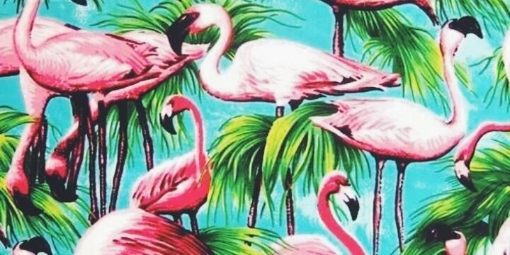 seilabaltanasMB's profile banner image