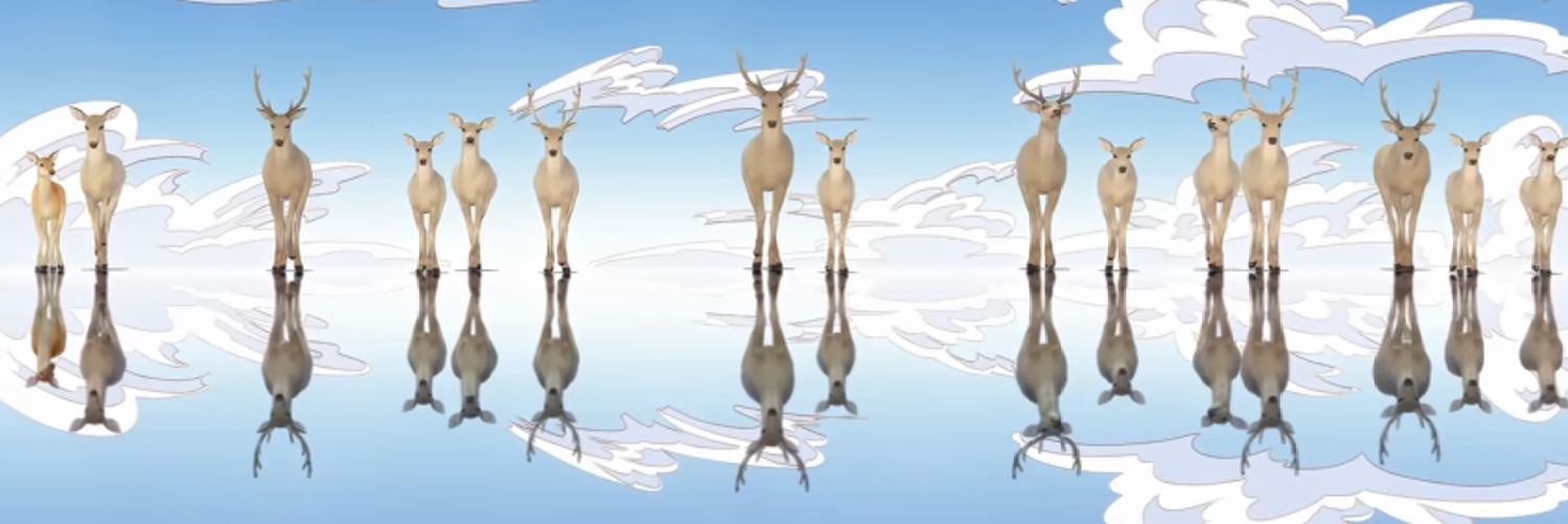 Elle 🔜 EVO banner