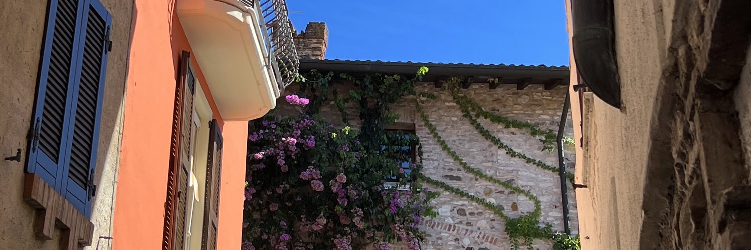 abartolacelli's profile banner image