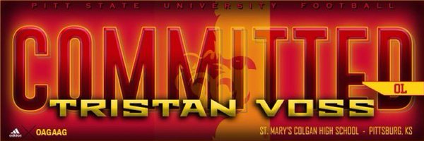 TristanVoss4 Profile Banner