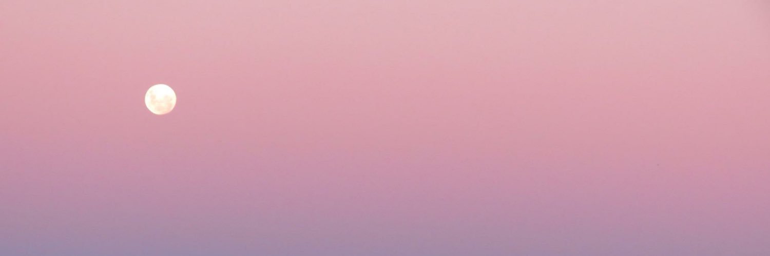 danitrevisol's profile banner image