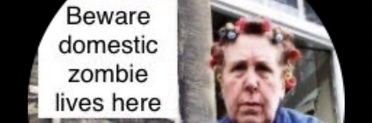 Bella Doe banner
