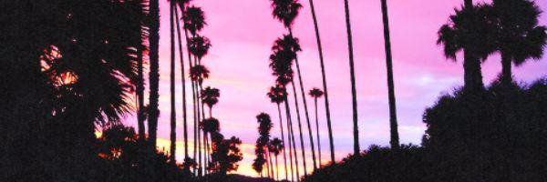 EricaLinCheer's profile banner image